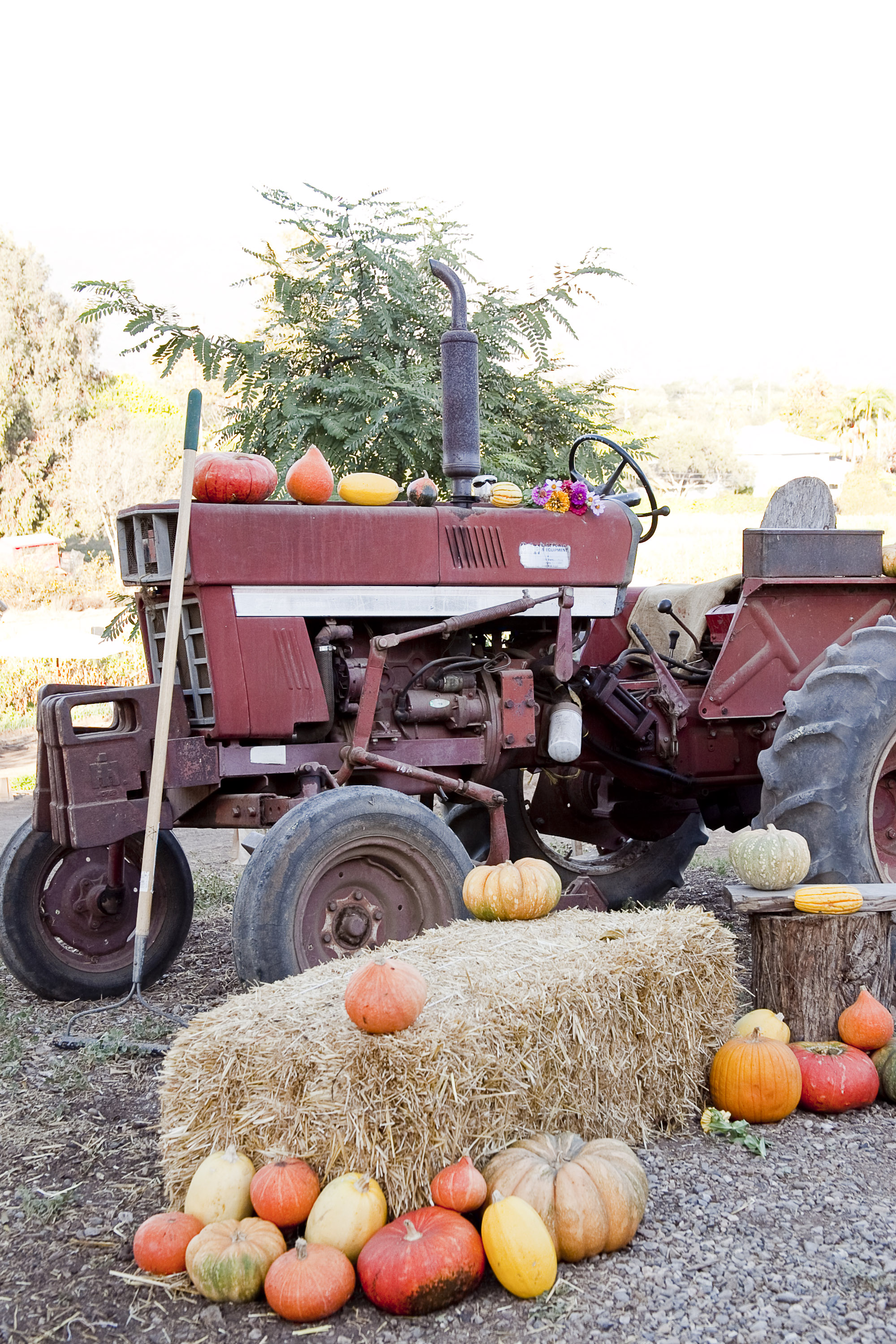 Oct2014Fairview Gardens_Cultivate Events