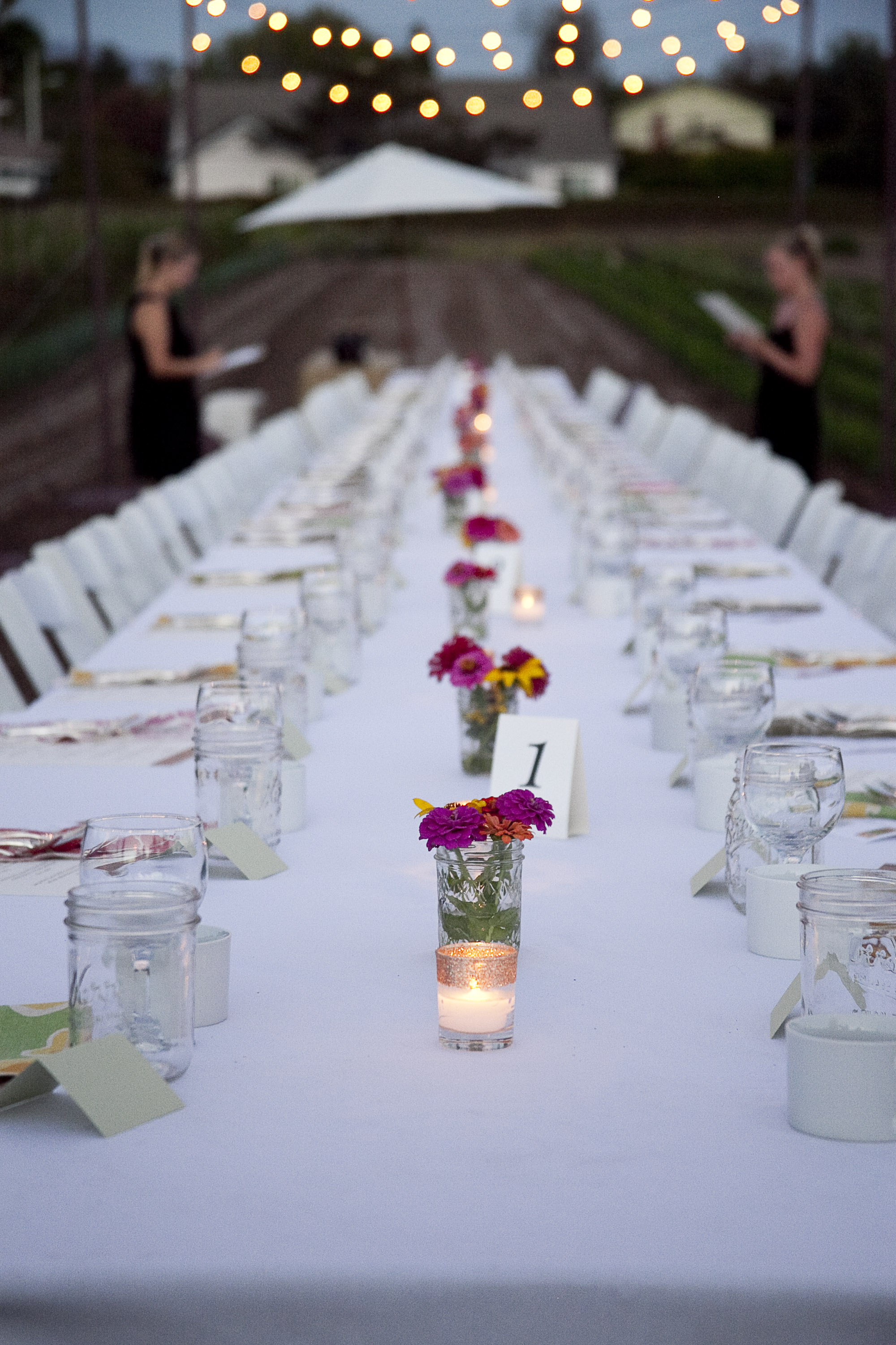 Oct2014Fairview Gardens_Cultivate Events