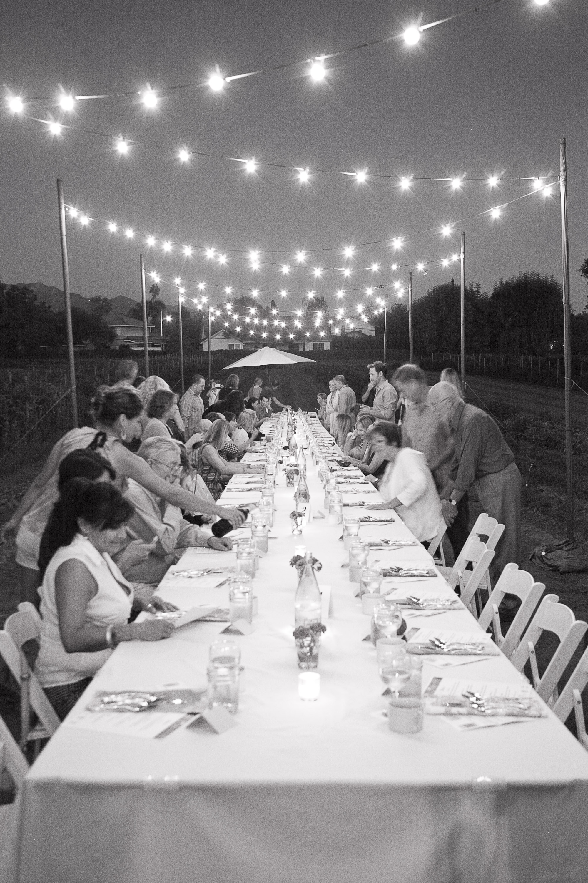 Oct2014Fairview Gardens_Cultivate Events